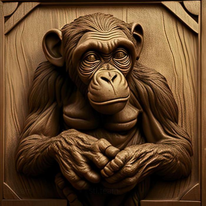 Микки шимпанзе известное животное